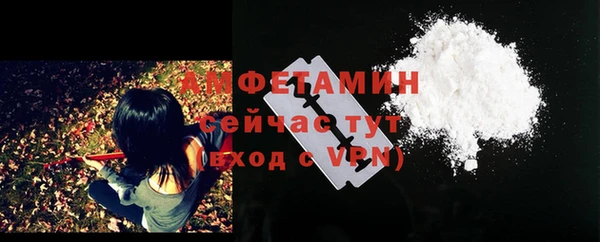 молекула духа Алексеевка