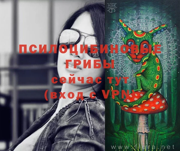 молекула духа Алексеевка
