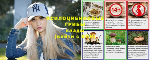 молекула духа Алексеевка