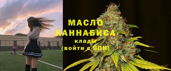 молекула духа Алексеевка