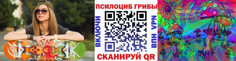 Псилоцибиновые грибы Psilocybine cubensis  цены   площадка наркотические препараты  Венёв 